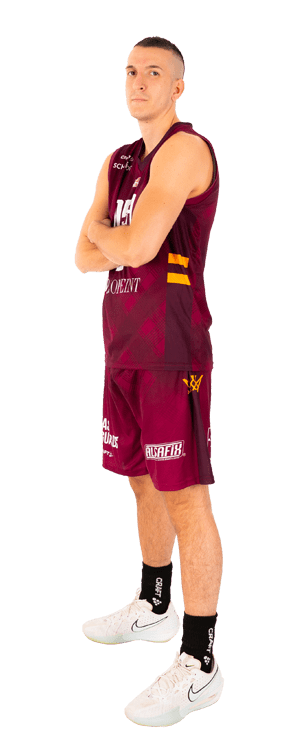 Petar ARANITOVIC